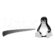 Linux copy